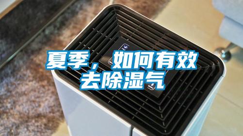 夏季，如何有效去除濕氣