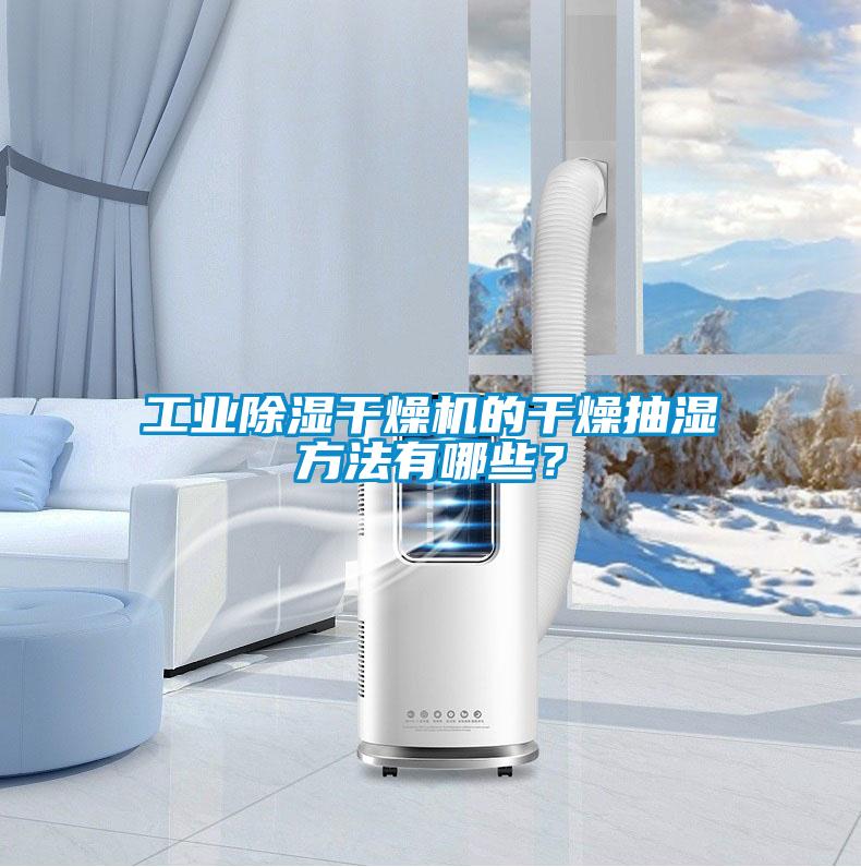 工業(yè)除濕干燥機(jī)的干燥抽濕方法有哪些？