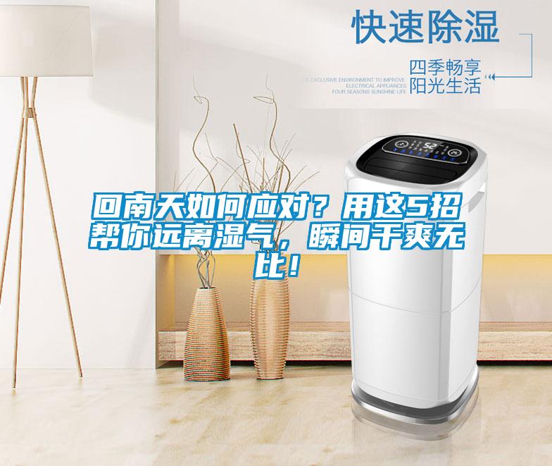 回南天如何應(yīng)對(duì)？用這5招幫你遠(yuǎn)離濕氣，瞬間干爽無(wú)比！