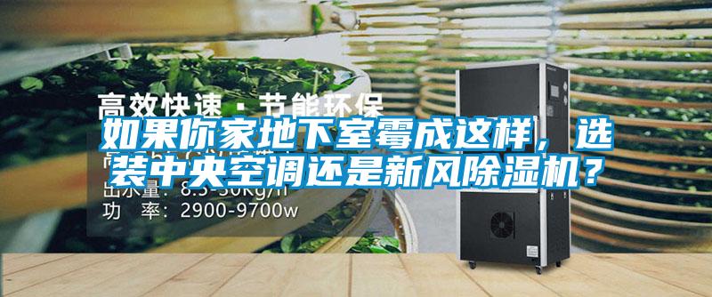 如果你家地下室霉成這樣，選裝中央空調(diào)還是新風(fēng)除濕機(jī)？