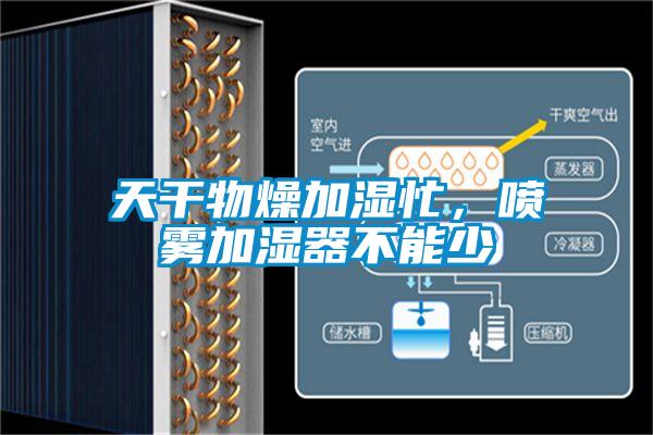天干物燥加濕忙，噴霧加濕器不能少