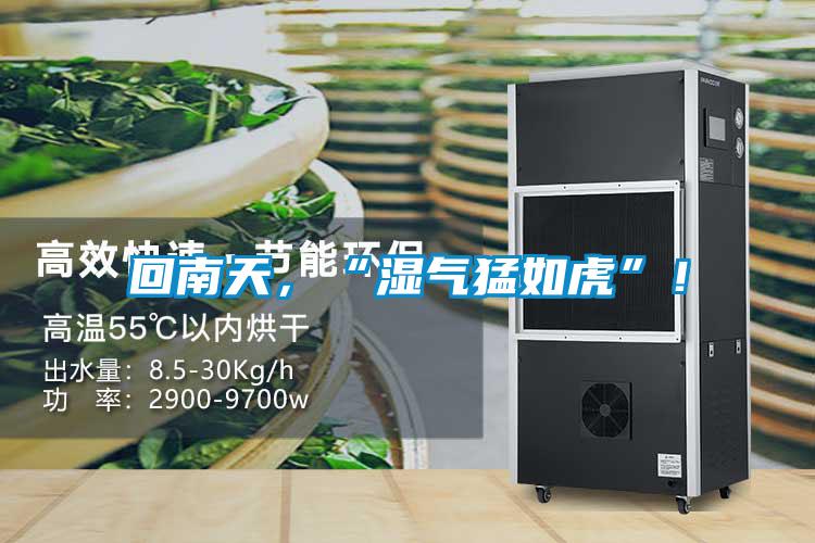 回南天，“濕氣猛如虎”！
