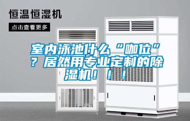 室內(nèi)泳池什么“咖位”？居然用專業(yè)定制的除濕機(jī)！??！