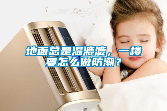 地面總是濕漉漉，一樓要怎么做防潮？