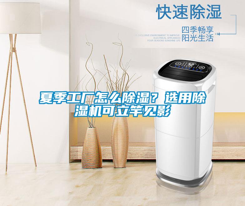 夏季工廠(chǎng)怎么除濕?選用除濕機(jī)可立竿見(jiàn)影