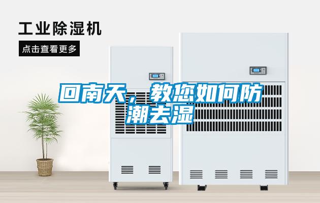 回南天，教您如何防潮去濕