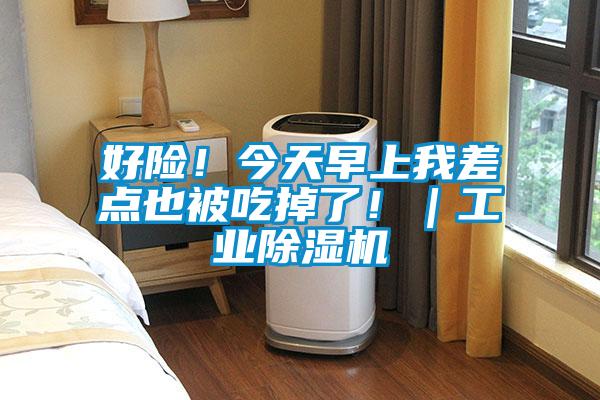 好險！今天早上我差點也被吃掉了?。I(yè)除濕機