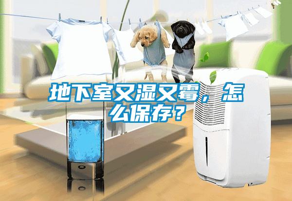 地下室又濕又霉，怎么保存？