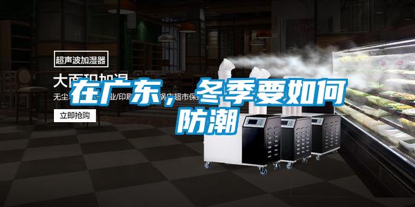 在廣東，冬季要如何防潮