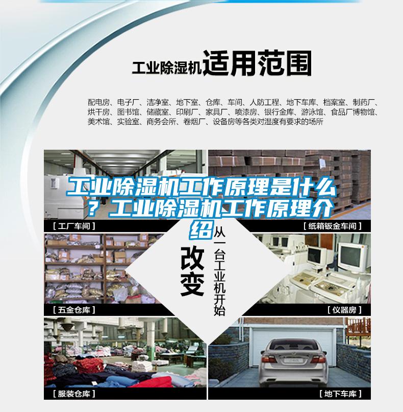 工業(yè)除濕機(jī)工作原理是什么 ？工業(yè)除濕機(jī)工作原理介紹