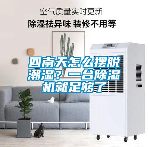 回南天怎么擺脫潮濕？一臺除濕機(jī)就足夠了