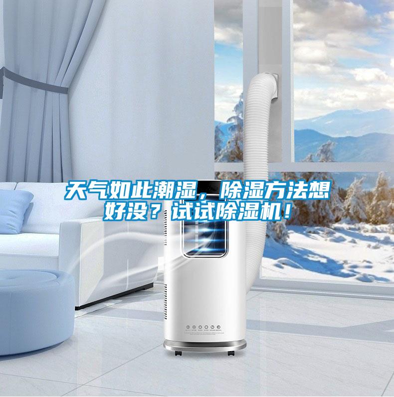 天氣如此潮濕，除濕方法想好沒？試試除濕機！