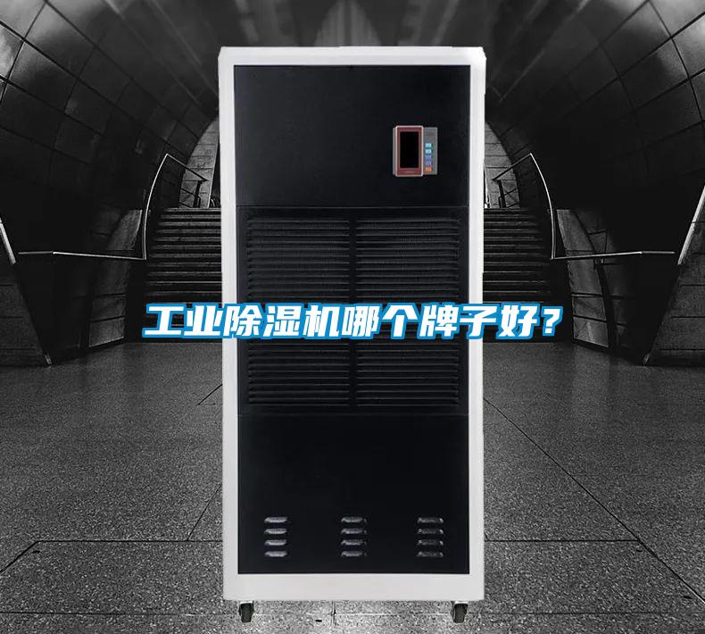 工業(yè)除濕機哪個牌子好？