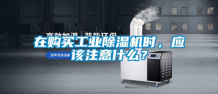 在購(gòu)買工業(yè)除濕機(jī)時(shí)，應(yīng)該注意什么？