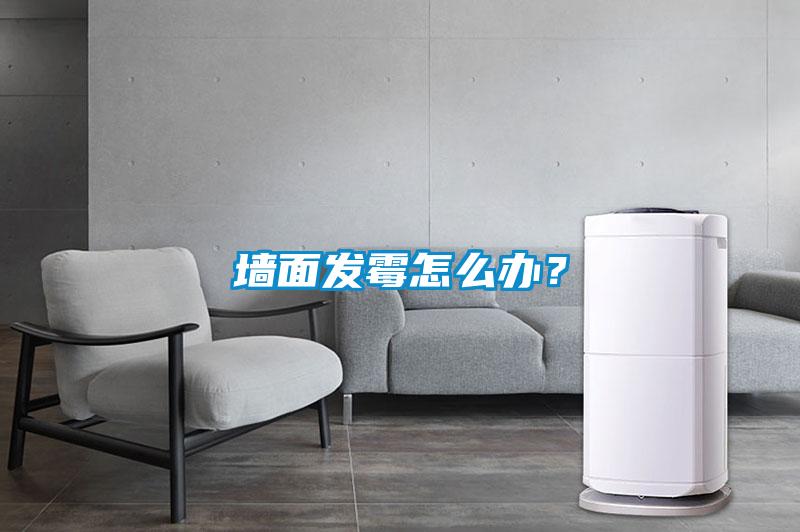 墻面發(fā)霉怎么辦？