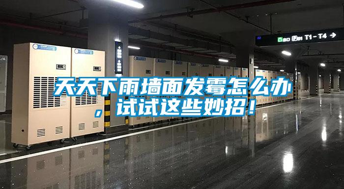 天天下雨墻面發(fā)霉怎么辦，試試這些妙招！
