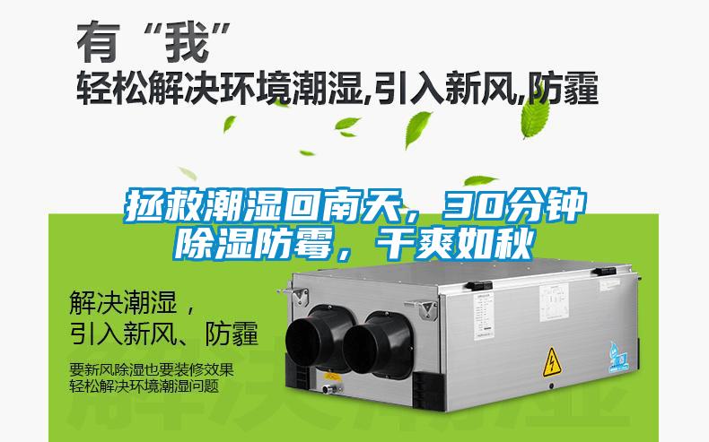 拯救潮濕回南天，30分鐘除濕防霉，干爽如秋