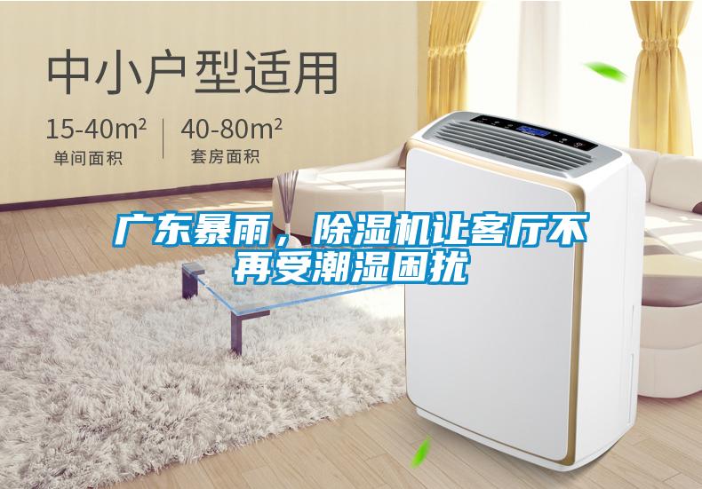 廣東暴雨，除濕機(jī)讓客廳不再受潮濕困擾