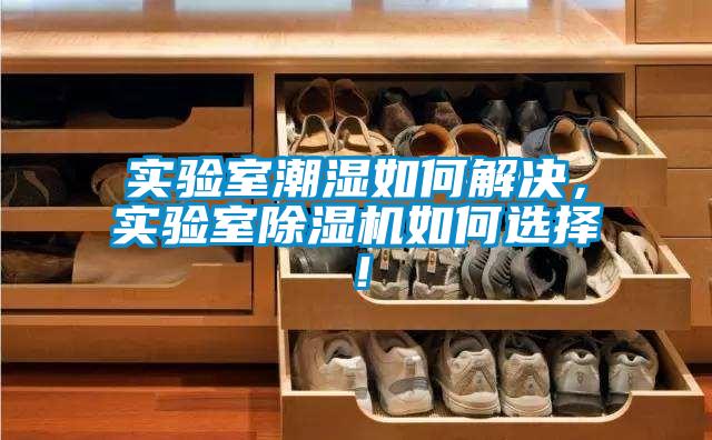 實驗室潮濕如何解決，實驗室除濕機如何選擇！