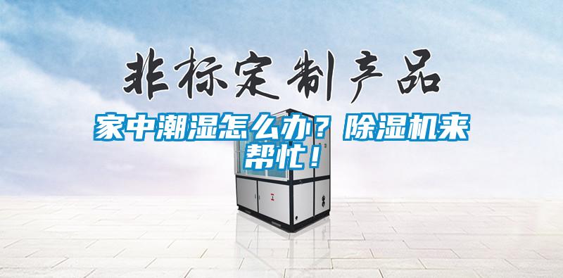 家中潮濕怎么辦？除濕機來幫忙！