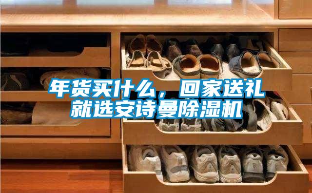 年貨買什么，回家送禮就選安詩曼除濕機(jī)
