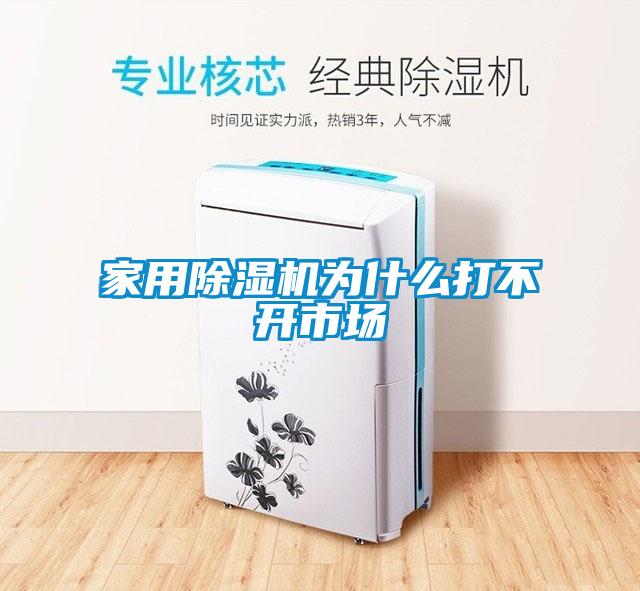 家用除濕機(jī)為什么打不開市場(chǎng)