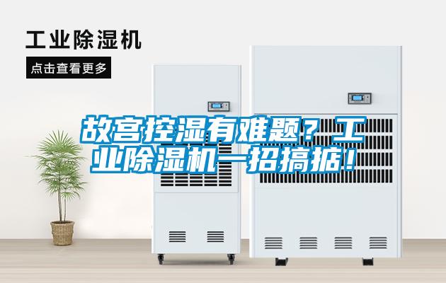 故宮控濕有難題？工業(yè)除濕機一招搞掂！