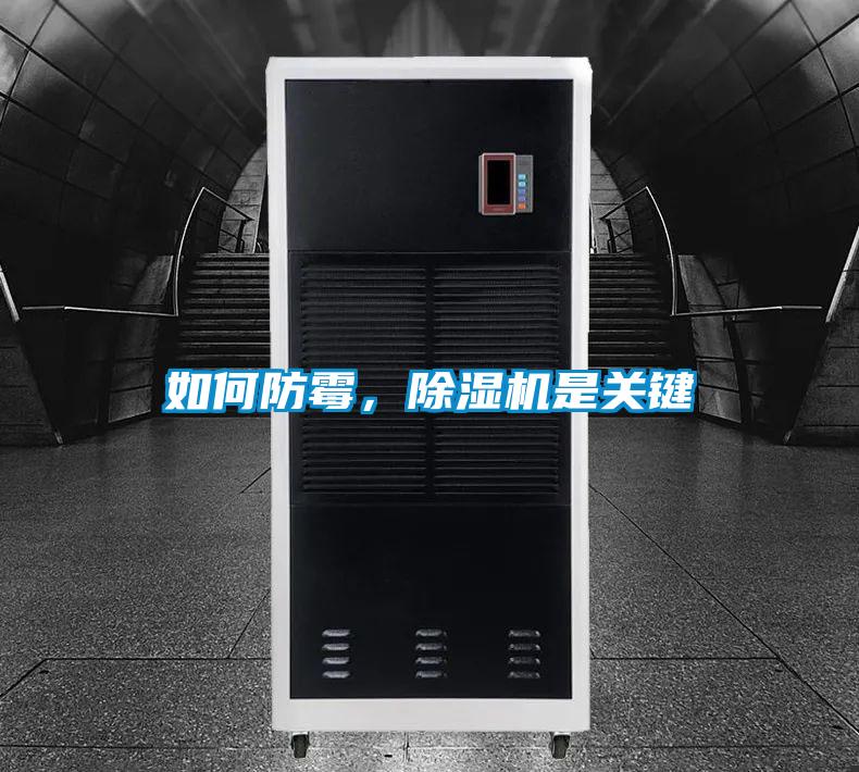 如何防霉，除濕機(jī)是關(guān)鍵