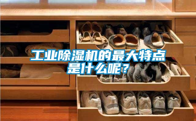 工業(yè)除濕機(jī)的最大特點是什么呢？