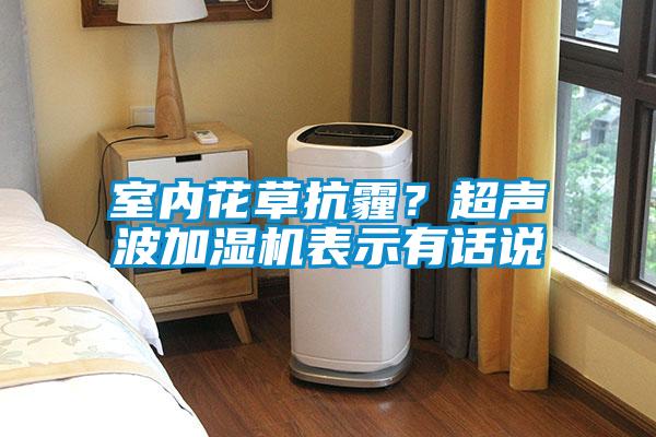 室內(nèi)花草抗霾？超聲波加濕機表示有話說