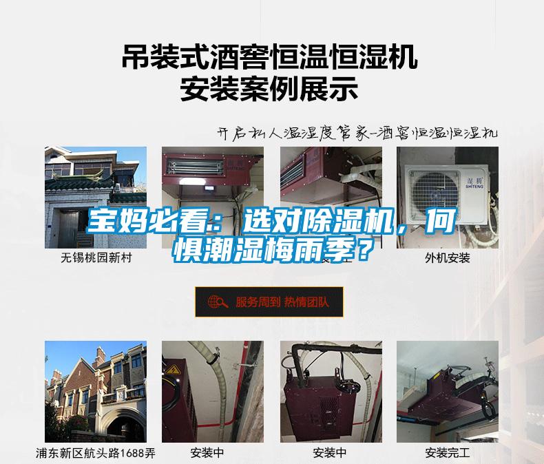 寶媽必看：選對除濕機，何懼潮濕梅雨季？