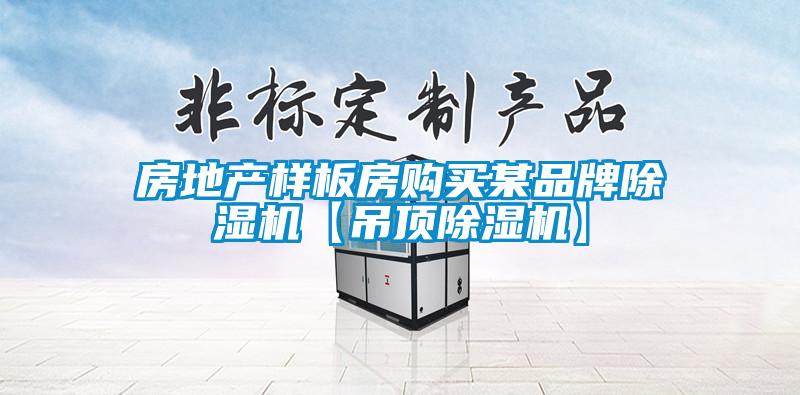 房地產(chǎn)樣板房購(gòu)買某品牌除濕機(jī)【吊頂除濕機(jī)】