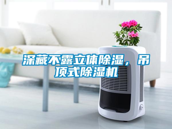 深藏不露立體除濕，吊頂式除濕機(jī)