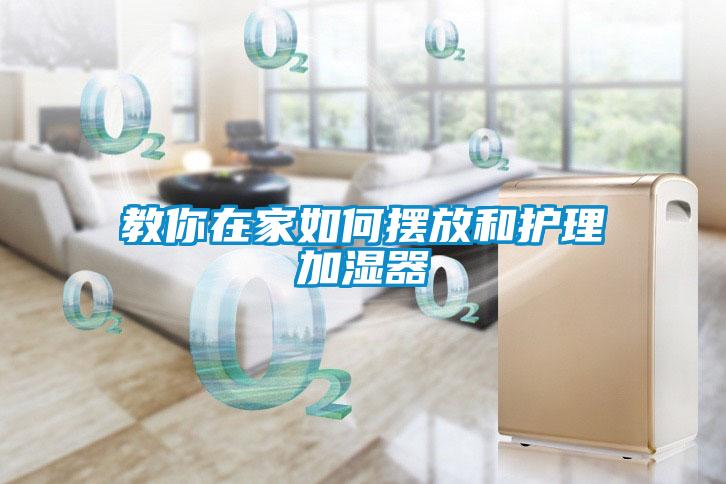 教你在家如何擺放和護(hù)理加濕器
