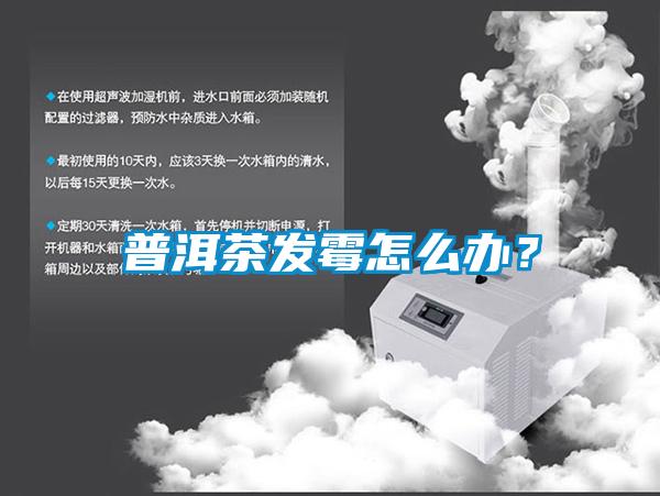 普洱茶發(fā)霉怎么辦?