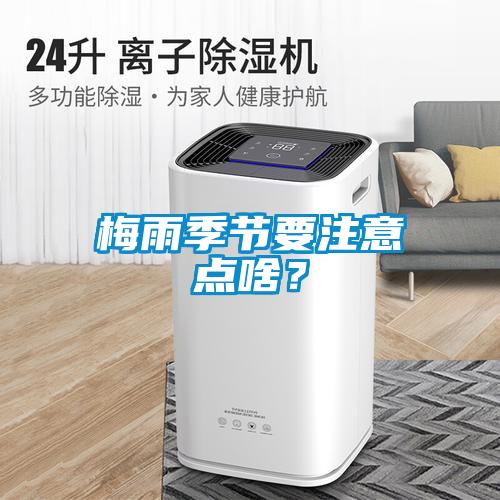 梅雨季節(jié)要注意點(diǎn)啥？