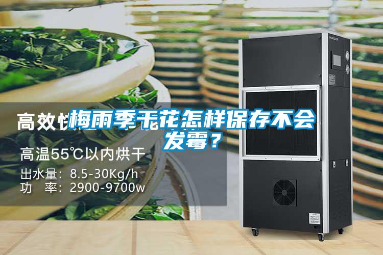 梅雨季干花怎樣保存不會(huì)發(fā)霉？