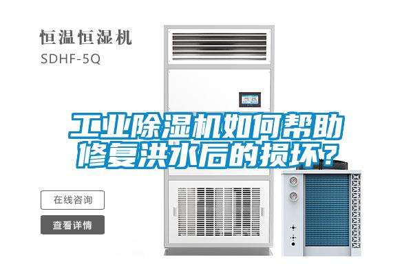 工業(yè)除濕機(jī)如何幫助修復(fù)洪水后的損壞？