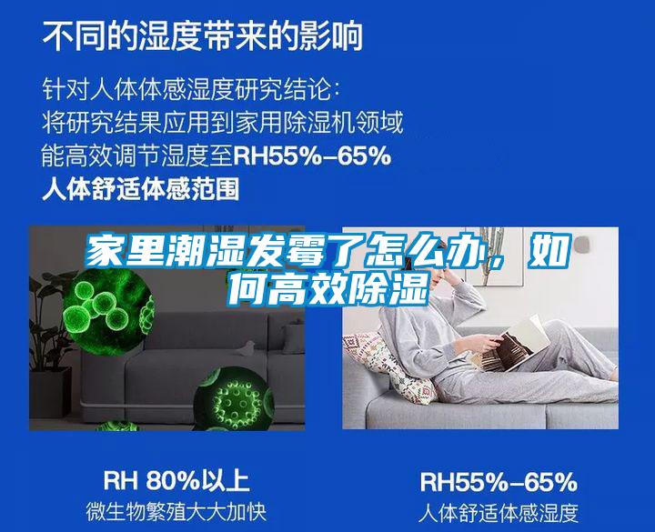 家里潮濕發(fā)霉了怎么辦，如何高效除濕