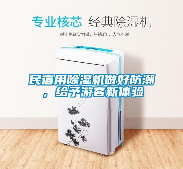 民宿用除濕機(jī)做好防潮，給予游客新體驗(yàn)