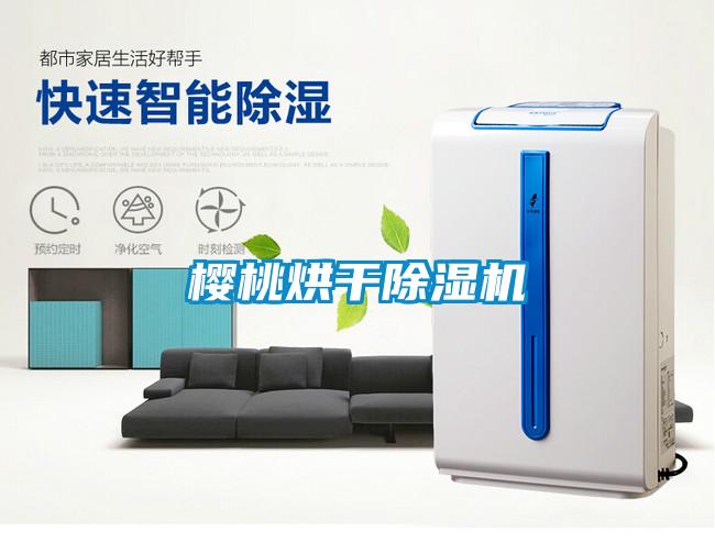 櫻桃烘干除濕機