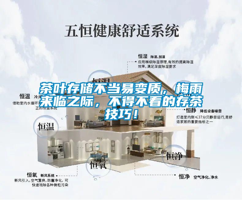茶葉存儲不當易變質(zhì)，梅雨來臨之際，不得不看的存茶技巧！