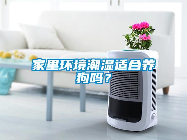 家里環(huán)境潮濕適合養(yǎng)狗嗎？