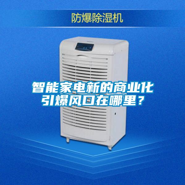 智能家電新的商業(yè)化引爆風(fēng)口在哪里？