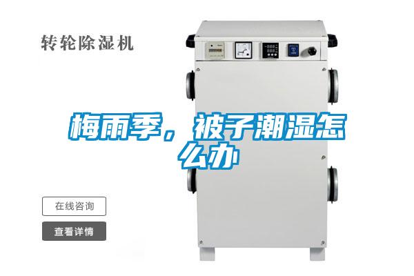 梅雨季，被子潮濕怎么辦