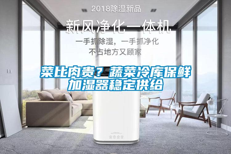 菜比肉貴？蔬菜冷庫(kù)保鮮加濕器穩(wěn)定供給