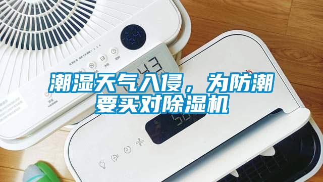 潮濕天氣入侵，為防潮要買對除濕機
