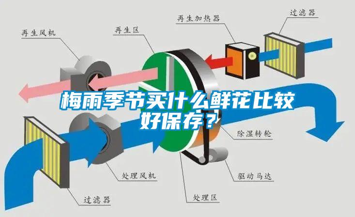 梅雨季節(jié)買什么鮮花比較好保存？