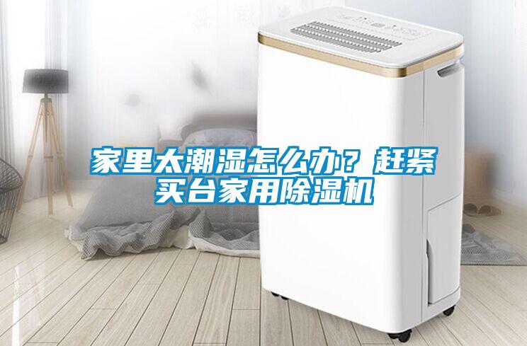 家里太潮濕怎么辦？趕緊買臺家用除濕機