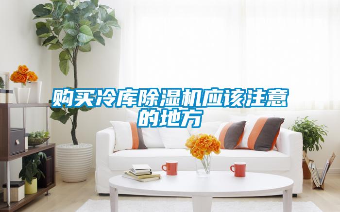 購(gòu)買冷庫(kù)除濕機(jī)應(yīng)該注意的地方